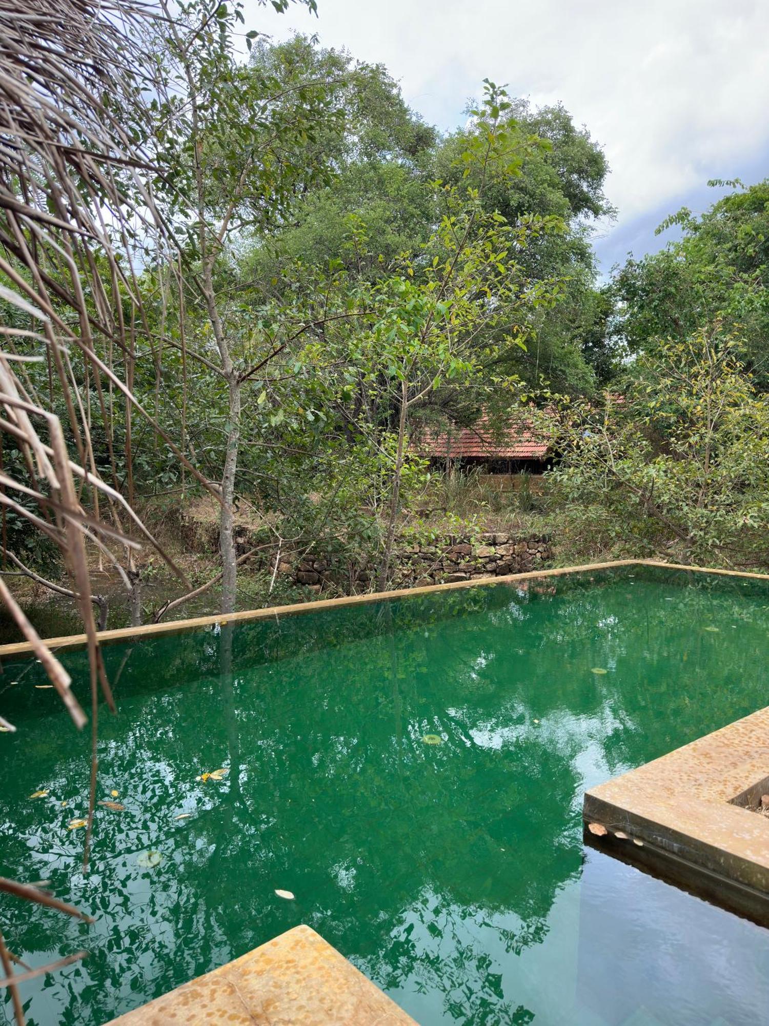 Отель Athreya Ayurveda Ashram Хабарана Экстерьер фото